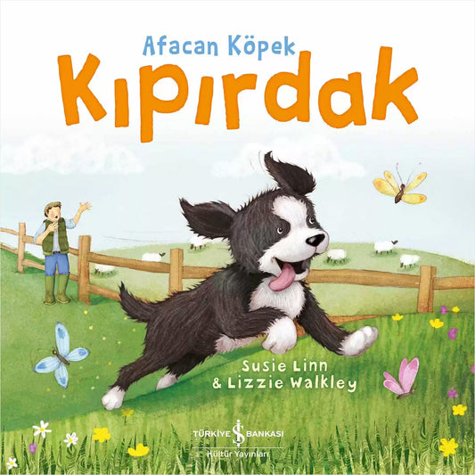 Afacan Köpek Kıpırdak